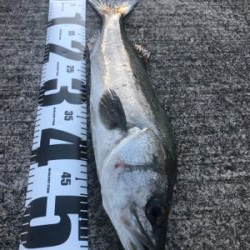 まづめ１時間勝負