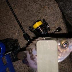 停めれないし、釣れない