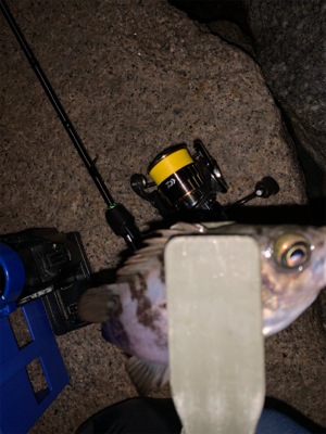 停めれないし、釣れない