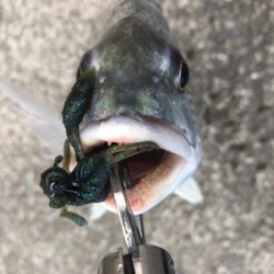 アクション大事！