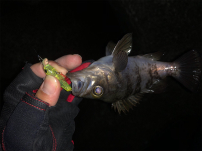 なかなかの渋さ…