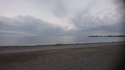 今年初のアオリちゃんGET！