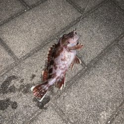 虫ヘッドすごい