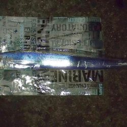 2020年 タチウオ 初釣り