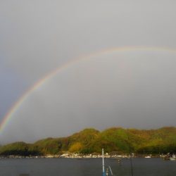 大雨のヤリイカ調査