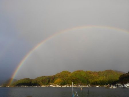 大雨のヤリイカ調査