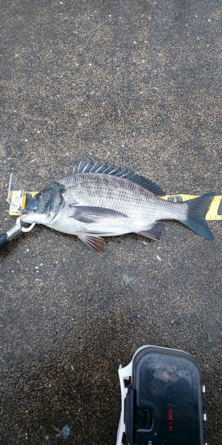 あけましておめでとうございます！！！