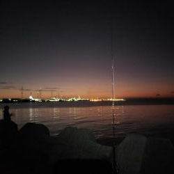 青物終わった！？