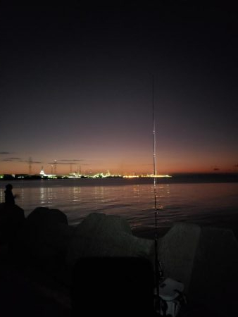 青物終わった！？