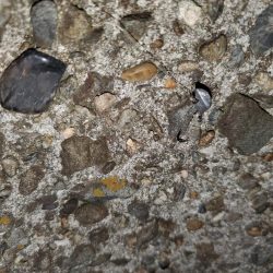 おじさんに一言…