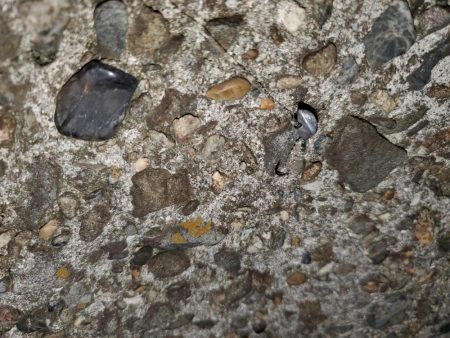 おじさんに一言…