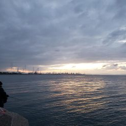 青物はいない！？