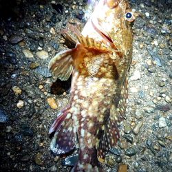 爆風でも、裏切らない