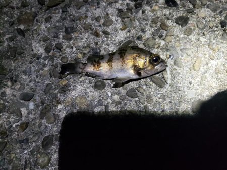 え？こんな所に？