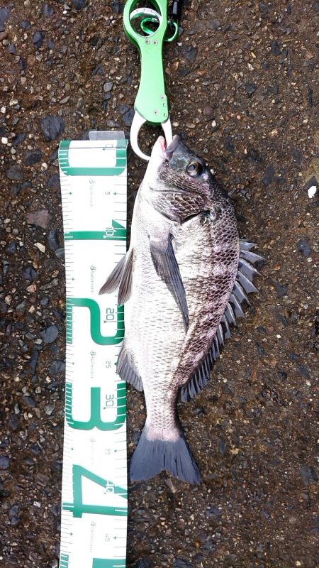 何かが釣れる気配で……