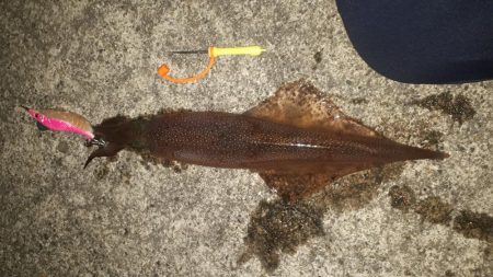 クタクタになりながら６つ目の漁港