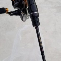 アジング　好調