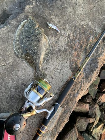 平目と思いきや〜