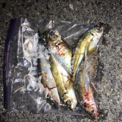 今年も良いスタートです