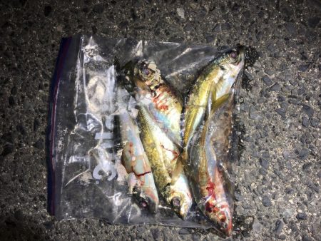 今年も良いスタートです