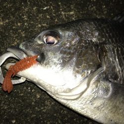 1月24日ラインブレイクのバラシはアカン