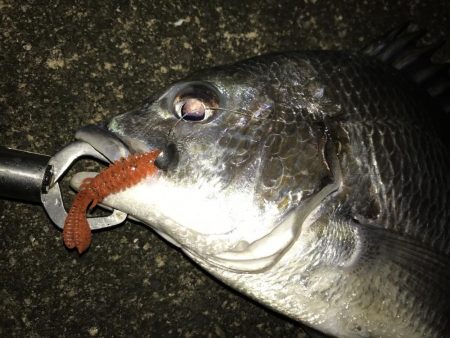 1月24日ラインブレイクのバラシはアカン