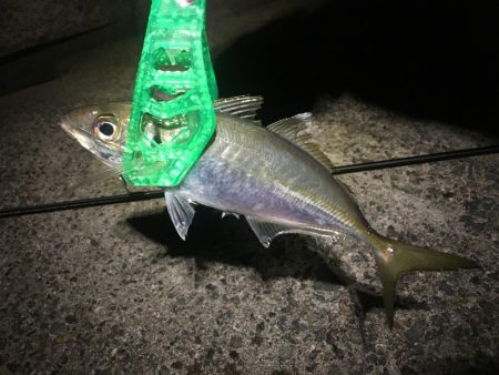 平日３時間サービスタイム！