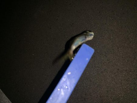 南蛮漬け子供のおやつに