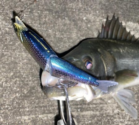 元旦に買ったルアーで‼&#x…