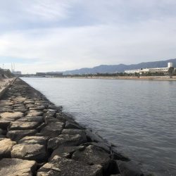 エビ撒き釣りは難しい
