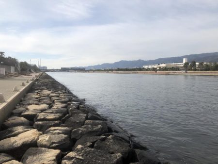 エビ撒き釣りは難しい