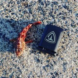 ハードルアーは苦戦