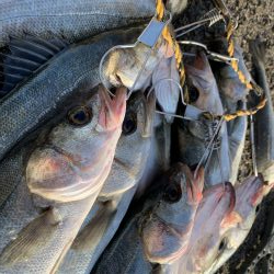 大荒れ後の荒喰い