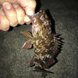 これからですかねー?