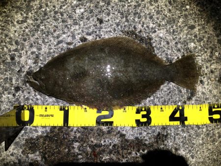 下げ潮のすごさ