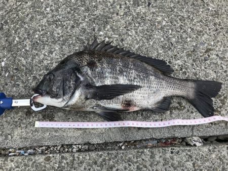 満潮からの下げ始め