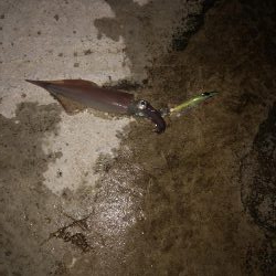 気温7度なのに寒すぎ!