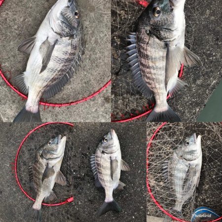 イチノ兄弟、釣果！