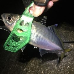 今週末もまた連日の淡路島!土曜日