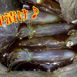 ライトエギング