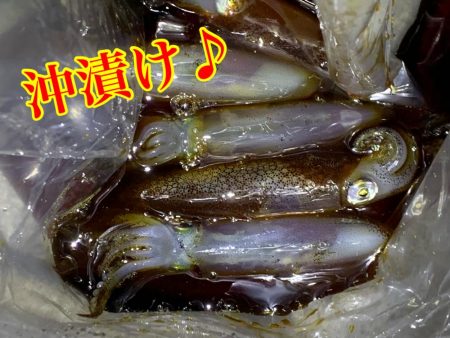 ライトエギング