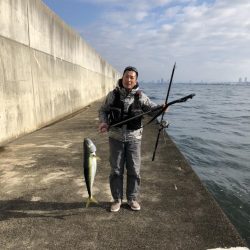 続、マルマル鰤