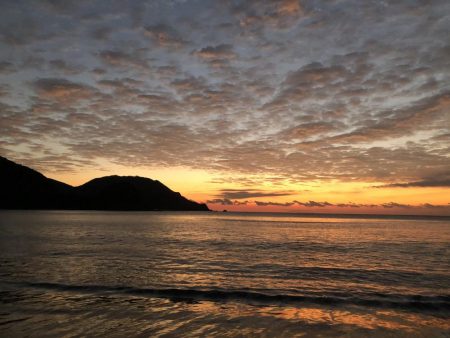 ハマチ？メジロ？