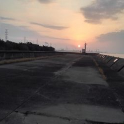 まだまだ狙える