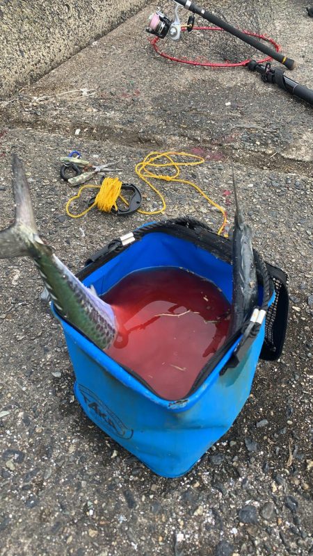 数は少ないが、まだまだ！情報求む！