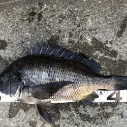 イチノ兄弟、釣果！