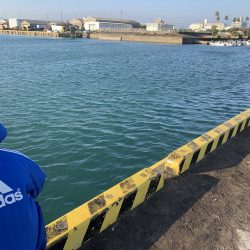 指２本サイズ爆釣