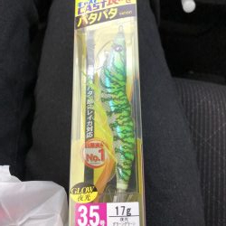 初ヤリイカ❗️