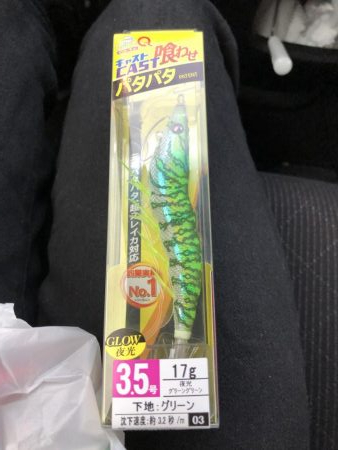 初ヤリイカ❗️