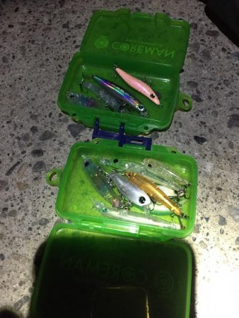 シブシブ メバリング